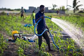 ROCHA Ghana - Irrigation Systems